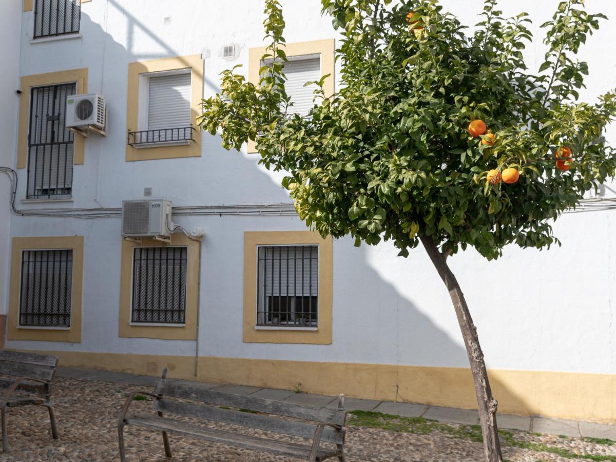 Nayber Gavia - Nuevo y céntrico apartamento en Córdoba Extérieur photo